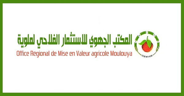 مباراة توظيف 8 مهندسي دولة من الدرجة الأولى بالمكتب الجهوي للاستثمار الفلاحي لملوية آخر أجل 23 أبريل 2026
